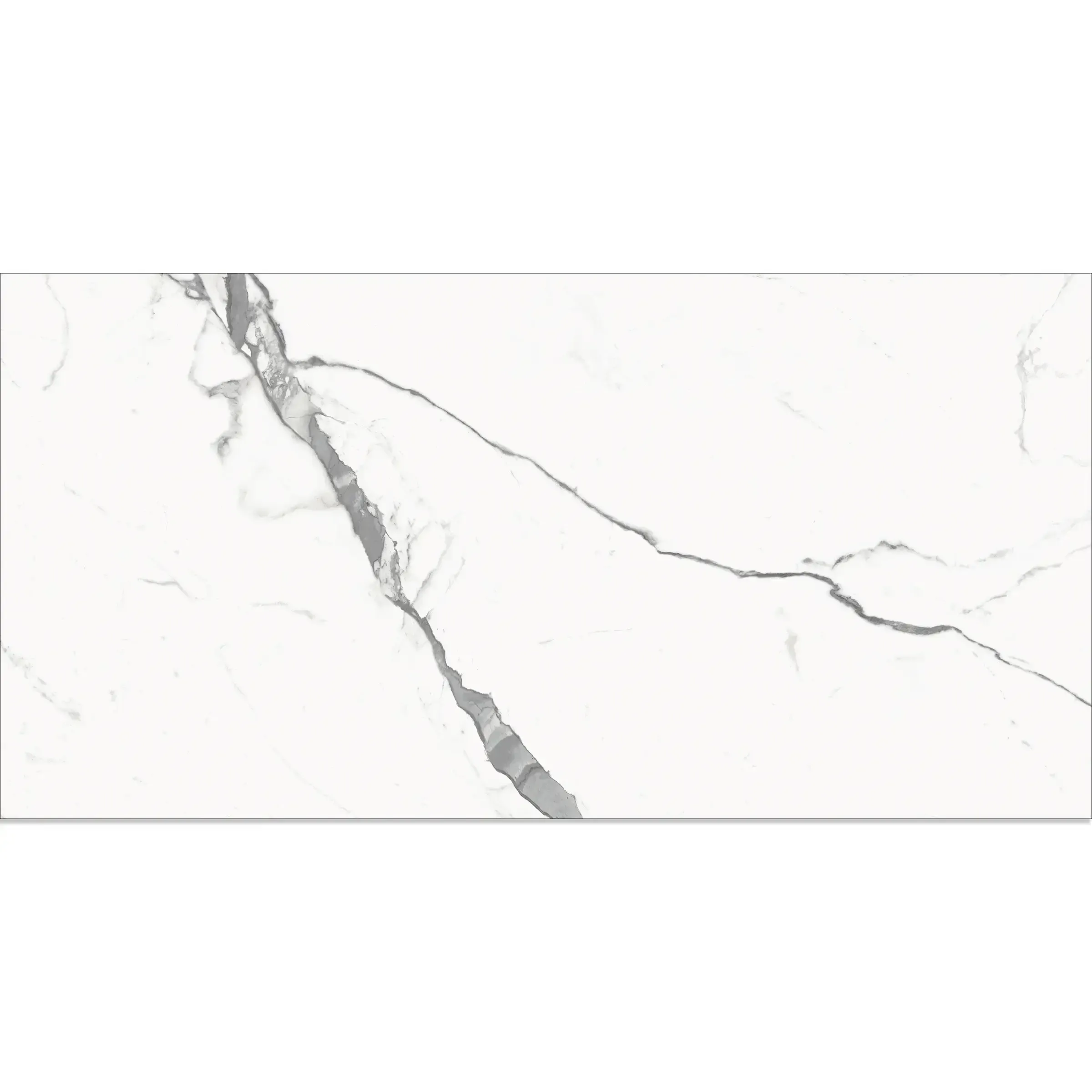 Thumbnail 20