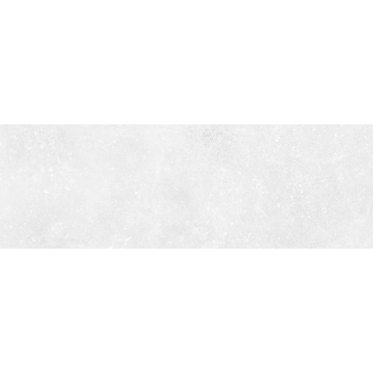 Thumbnail 15