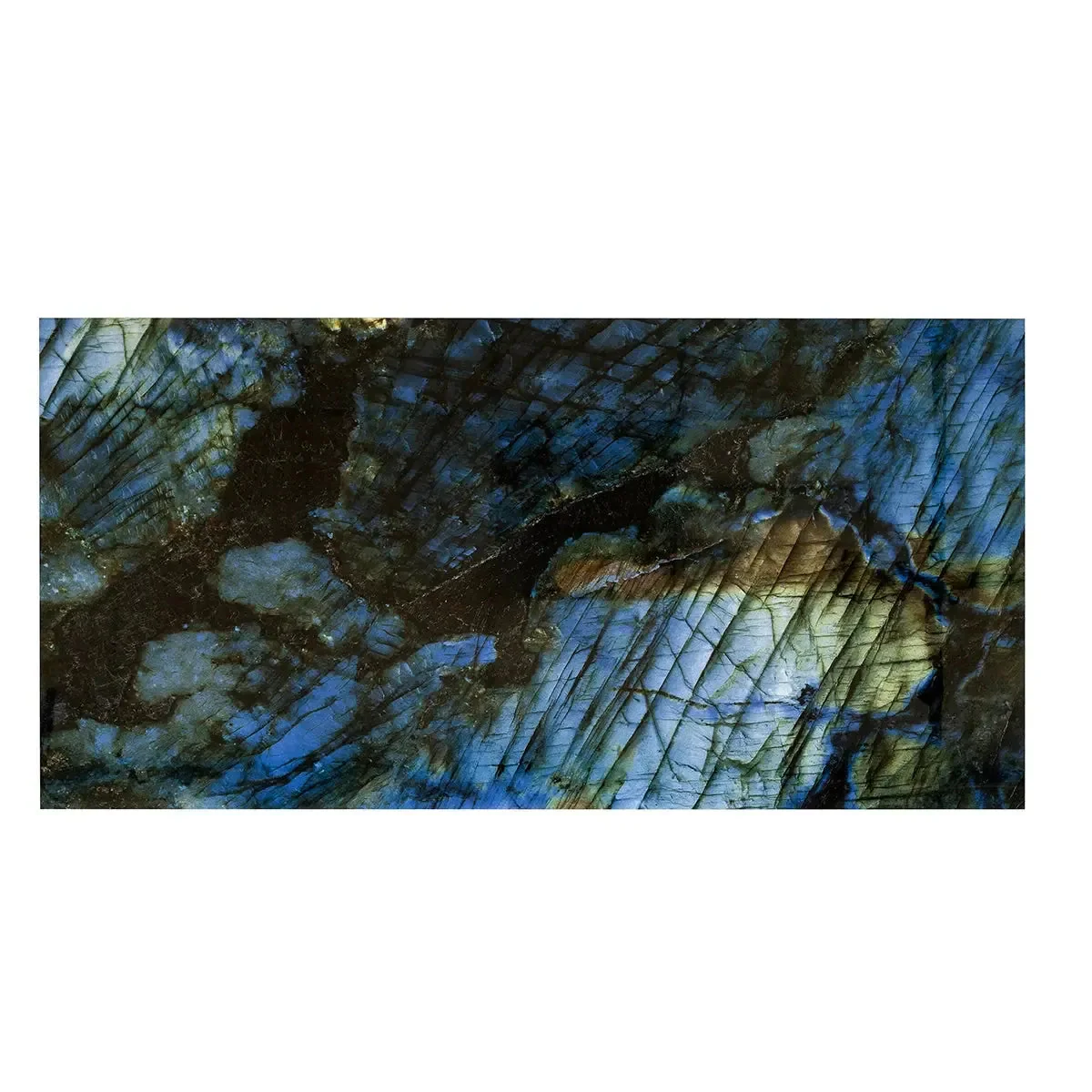 Thumbnail 10